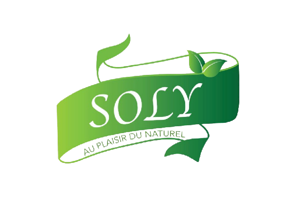 logo soly