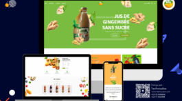 tech voudou e-commerce website pour Soly international