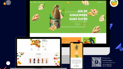 tech voudou e-commerce website pour Soly international