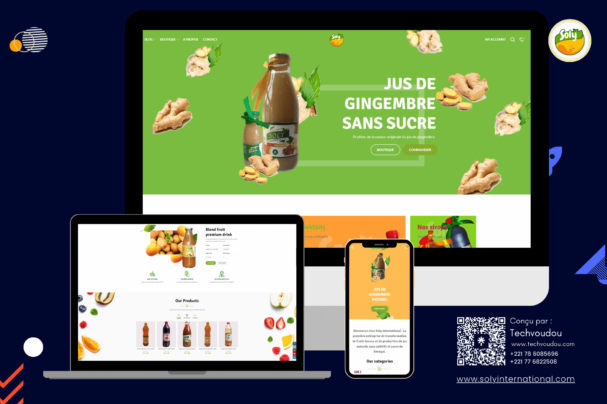 tech voudou e-commerce website pour Soly international