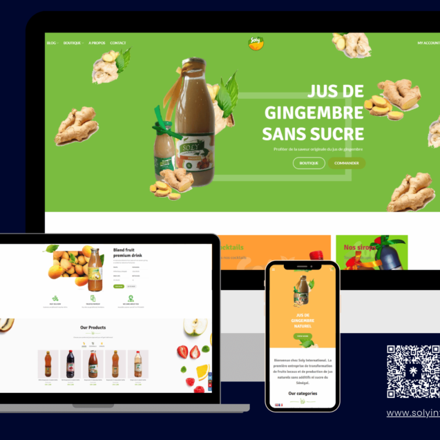 tech voudou e-commerce website pour Soly international